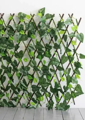 Bamboo Fence Gives Esthetic Look