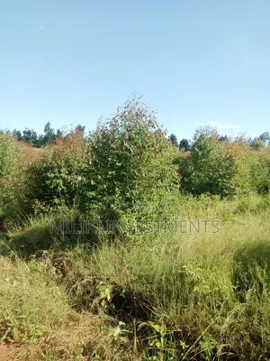 2 Acres on Sale at Makuyu-Gathaitì.