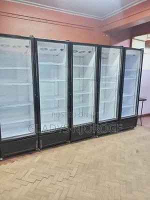 Show Case Affordable ( 650l Display Fridge)