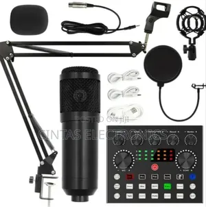 V8 Professional Condenser Microphone