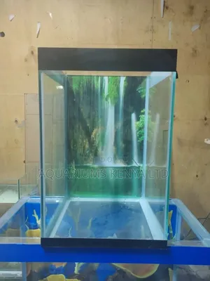 Aquarium That Needs Little Space