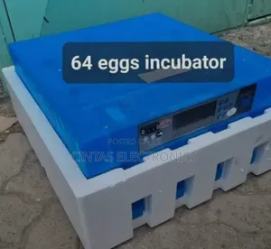 Automatic 64eggs Incubator Machine