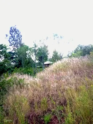 An Acre Land Is on Sale at Kahuho -Sabasaba