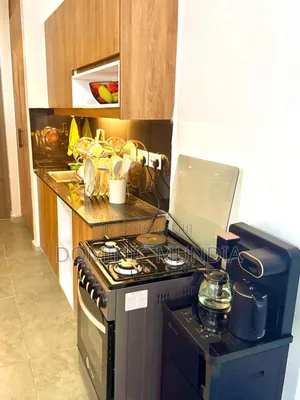 Studio, One and Two Bedroom BNBS in Thika,Roysambu,Kamakis