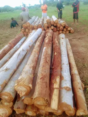 Affordable Blue Gam Poles