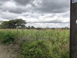 Quarter Acre Plot in Ngong, Matasia Along Merisho Road