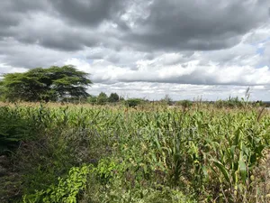 Eighth Acre Plot in Ngong, Matasia, Merisho Road Near Tarmac