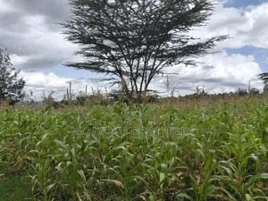 Half Acre Plot in Ngong Matasia Along Merisho Rd Near Tarmac