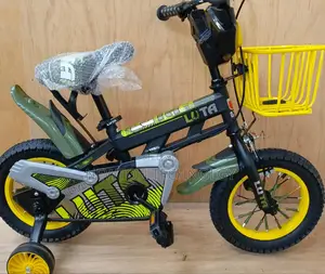 Fresh 20-Inch Bike