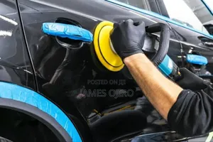 Car Buffing and Polishing Services