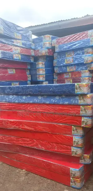 6-Inch Foam Mattress 4*6