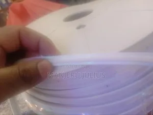 220v Cob Neon Snake Light