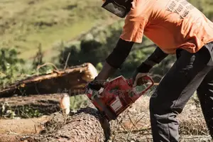 Tough Wood Cutter Husqvarna Powersaw 272xp