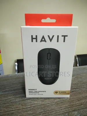 Havit Ms66gt Wireless Mouse