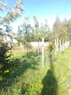 Prime 100*100 Plot at Kitengela Kag University