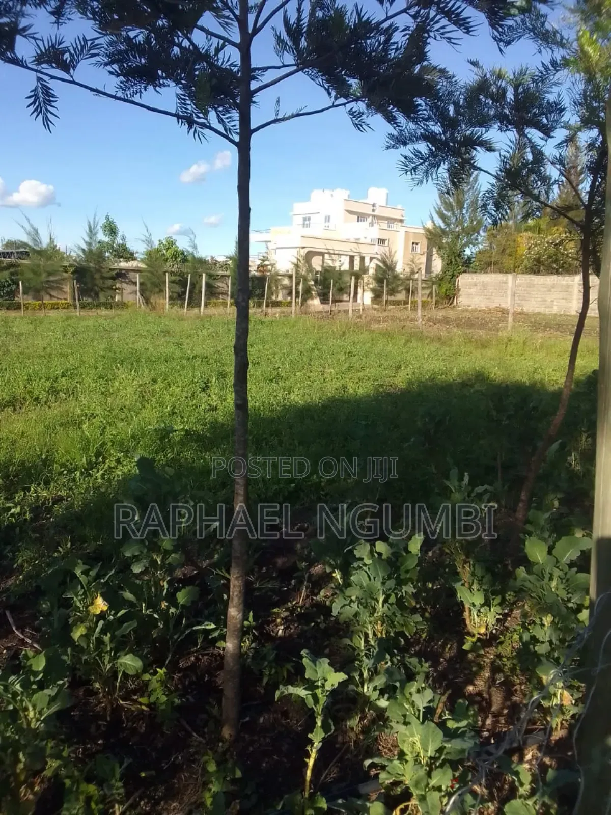 Prime 100*100 Plot at Kitengela Kag University
