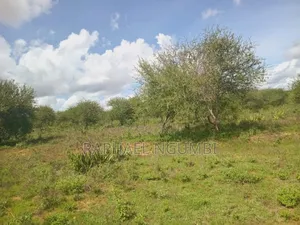 10 Acres at Konza Ulu