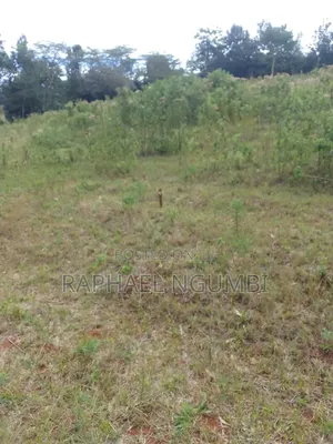 7 Acres at Mua Hills Kitanga