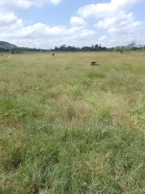 54 Acres Along Lukenya Kwale Road