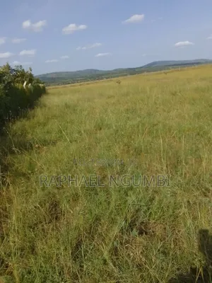 100 Acres at Daystar University