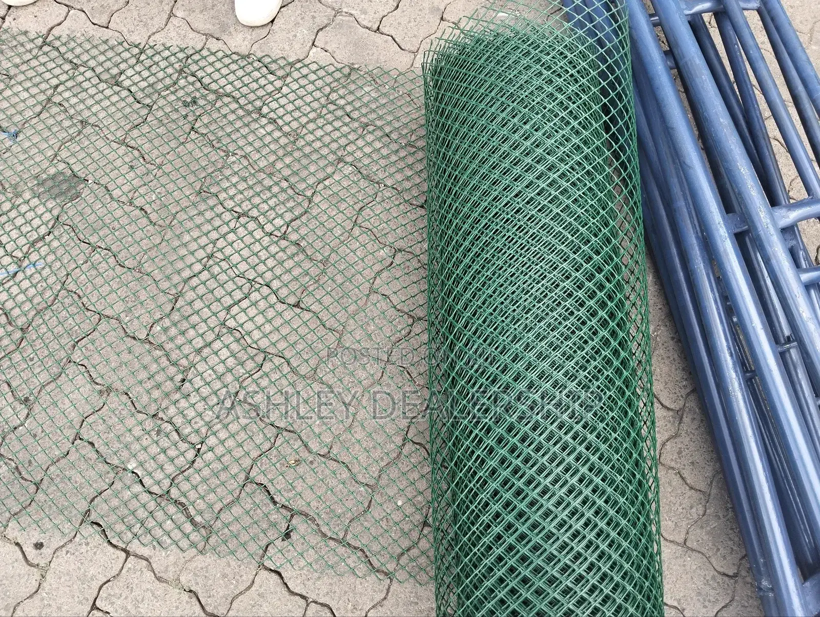 Chicken Poultry Net