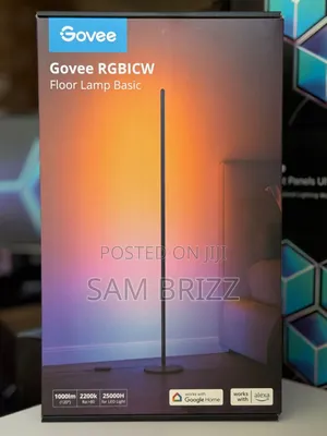 Govee Rgbiw Floor Lamp Basic