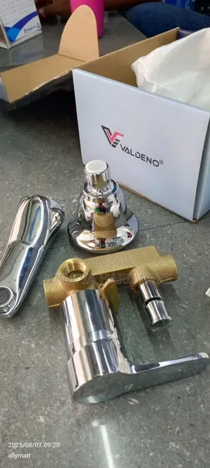 Valdeno Concealed Shower Mixer