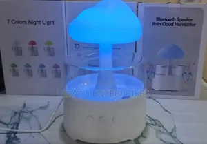 Bluetooth Speaker Humidifier