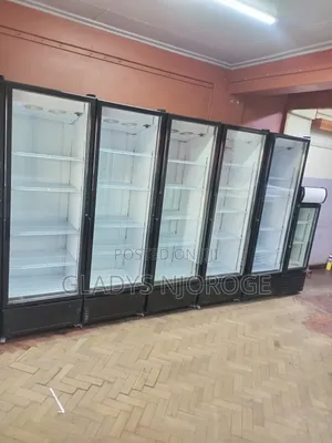 Commercial Chiller (Affordable Clean)