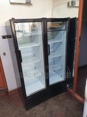 Well Maintained (Fregorex Display 300l)