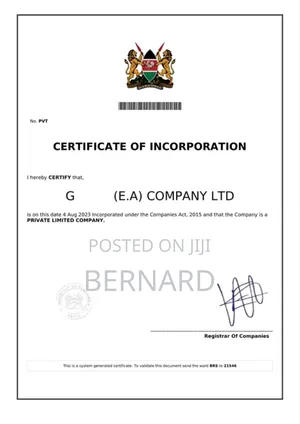Business Registration Services
