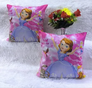 Cartoon Themed Pillow Covers