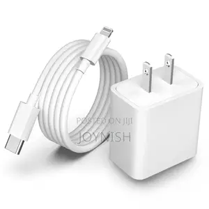 iPhone Charger