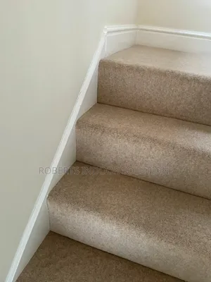 Delta Carpet Bliss Where Comfort and Style Meets