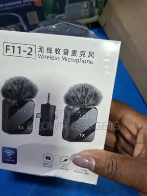F11-2 Wireless Microphone System With Charging Case