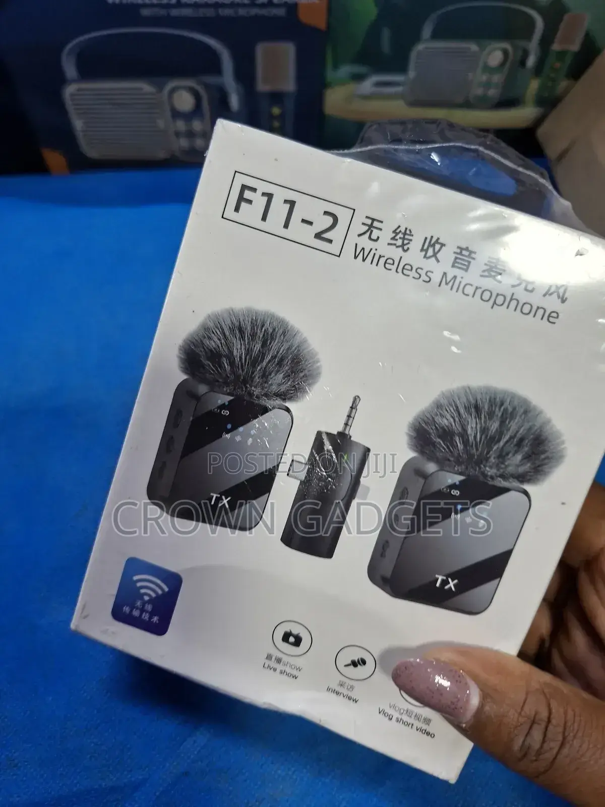 F11-2 Wireless Microphone System With Charging Case