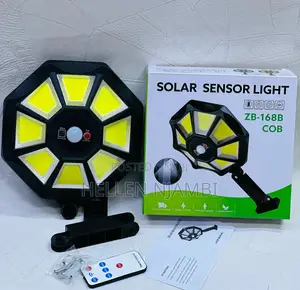 Solar Sensor Light 100watts