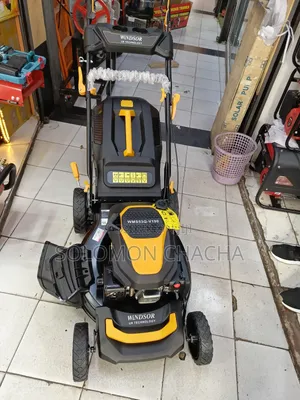 Windsor Uk Gasoline Lawn Mower Wms53q-v190 Best Quality