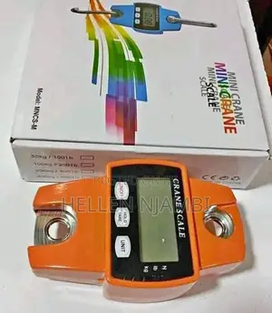 Digital Crane Weighing Scale 300kgs