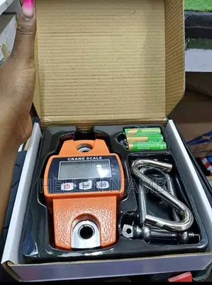 Industrial Digital Weighing Crane Scale - 300kgs