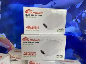 Dual Outlet Mini Air Pump – Model 702