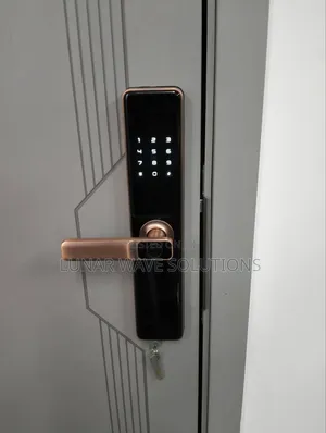 Intelligent Tuya Lock(Shop in Nairobi)
