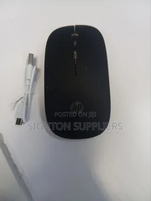 Hp Wireless Mouse W10