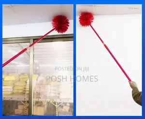 Extendable Cobweb Broom