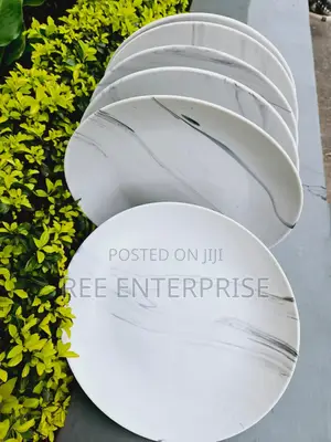 Brand New 6pc Ceramic Plates