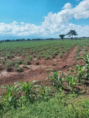 30 Farming Acres in Malindi-Ksh4.5million(Per Block)7blocks Available