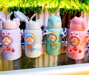 520ml Thermal Water Bottle