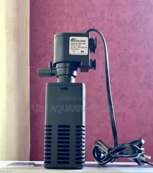 Filter Pump – Built for Continuous Use