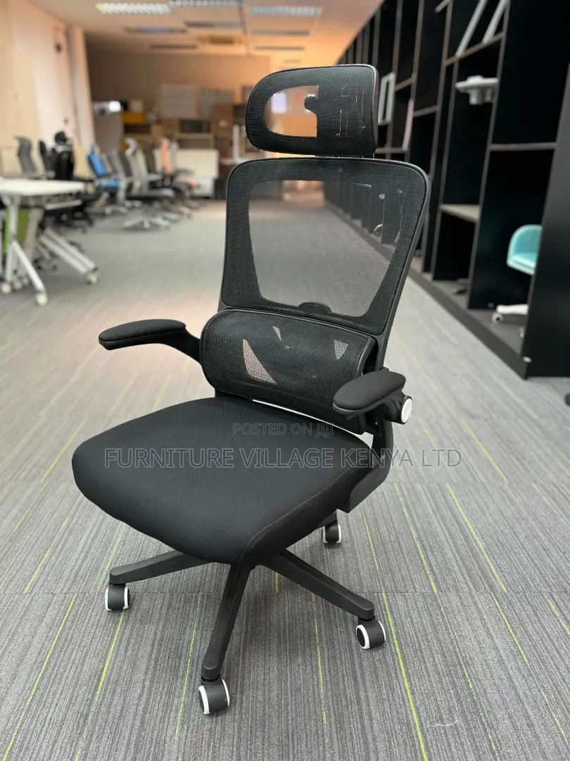 Office Chair: Orthopedic Lumber Fabric Executive Chair