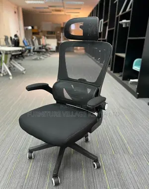 Office Chair: Orthopedic Lumber Fabric Executive Chair